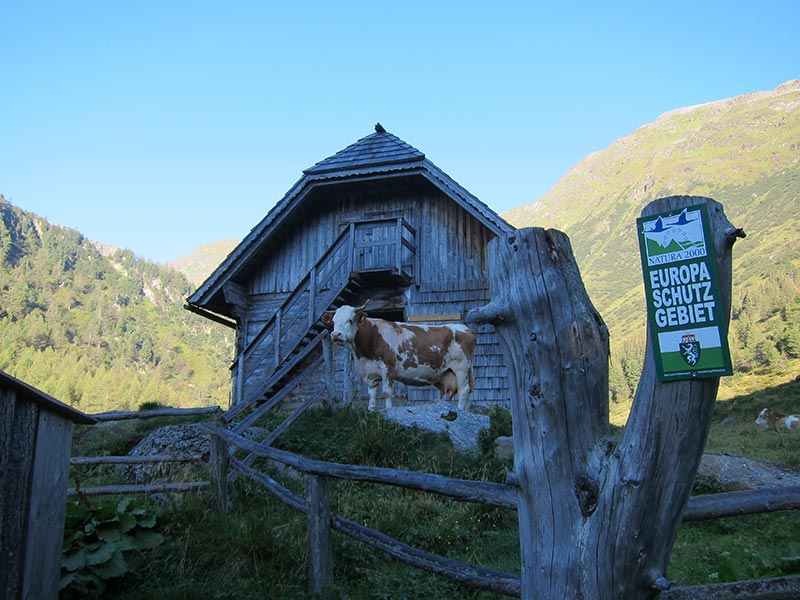 schoberspitze